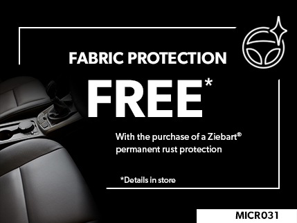 MICR031 - FABRIC PROTECTION - FREE