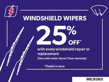 MICR080 - Windshield wipers 25% off